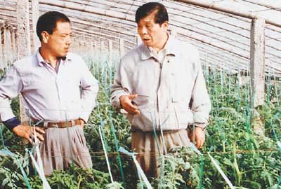 网站建设需要多少钱网站建设需要多少钱,我们装修一套房子到底要